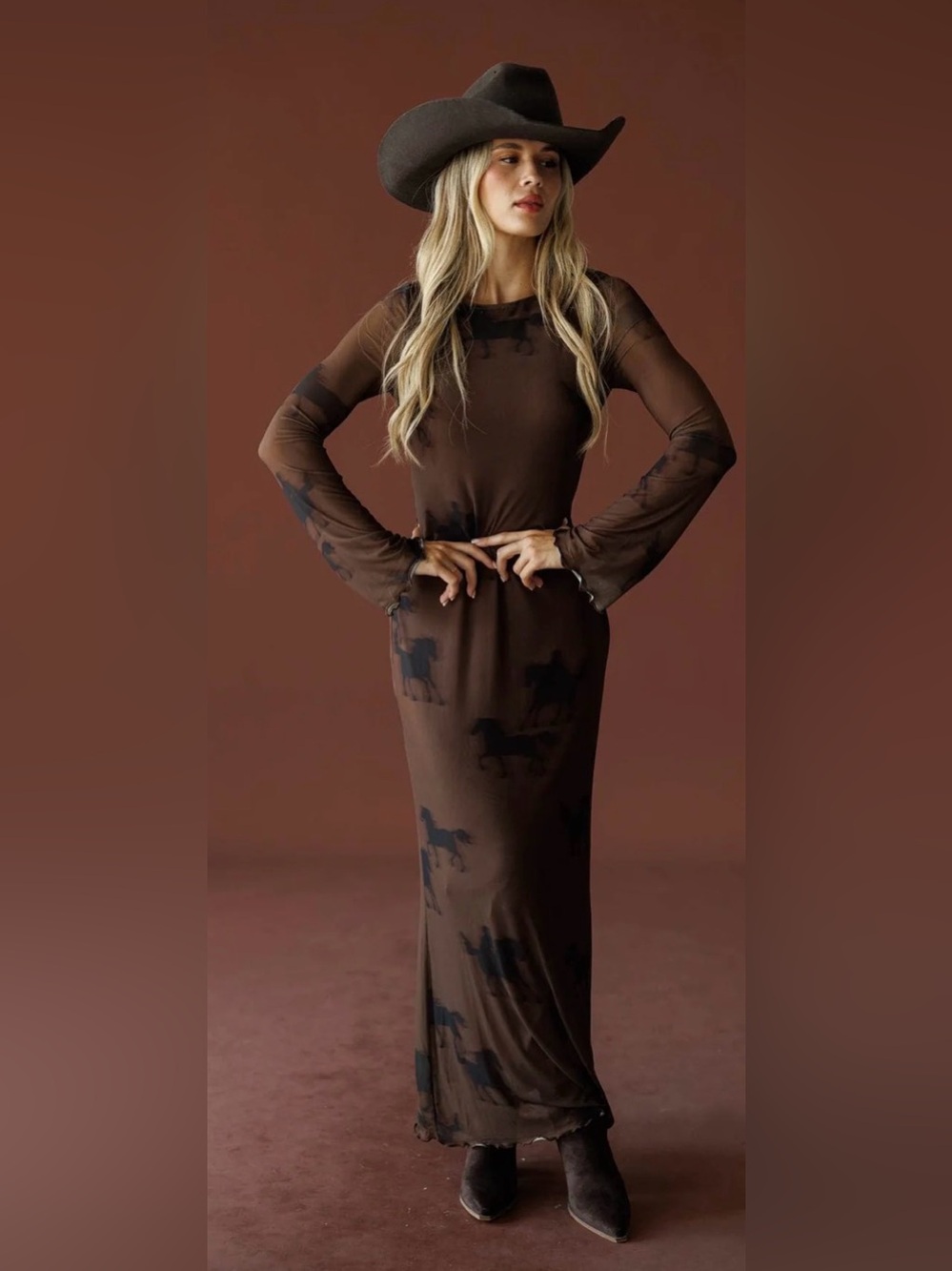 Brown Long-Sleeve Horse-Print Maxi Dress